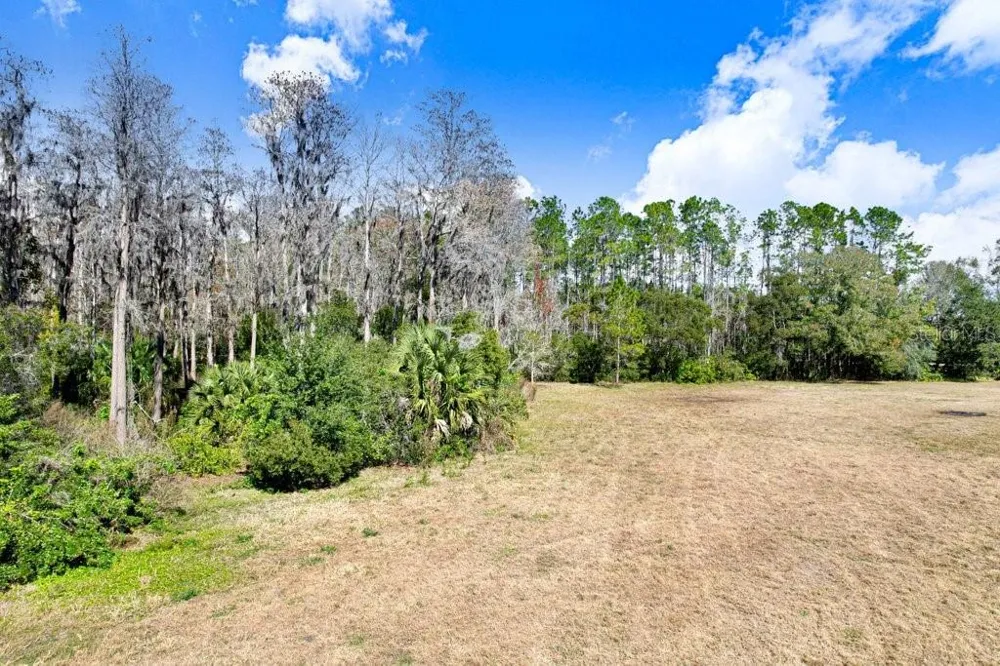 TOBACCO RD Lutz, FL 33558