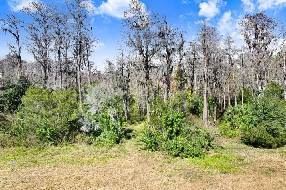 TOBACCO RD Lutz, FL 33558