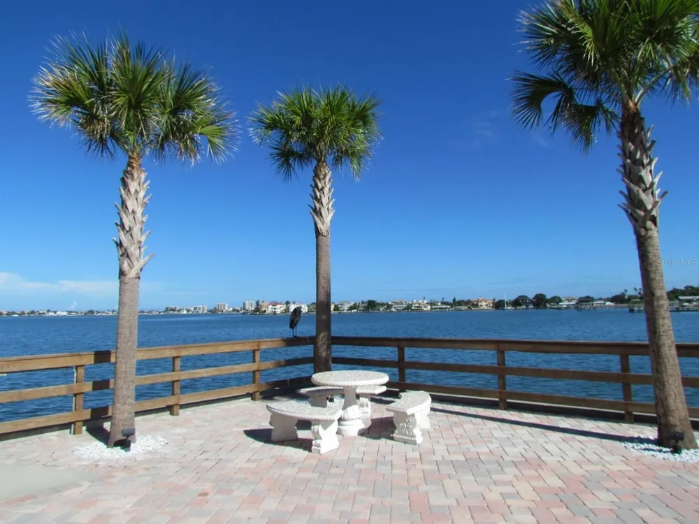 100 BLUFF VIEW DRIVE #317A Belleair Bluffs, FL 33770