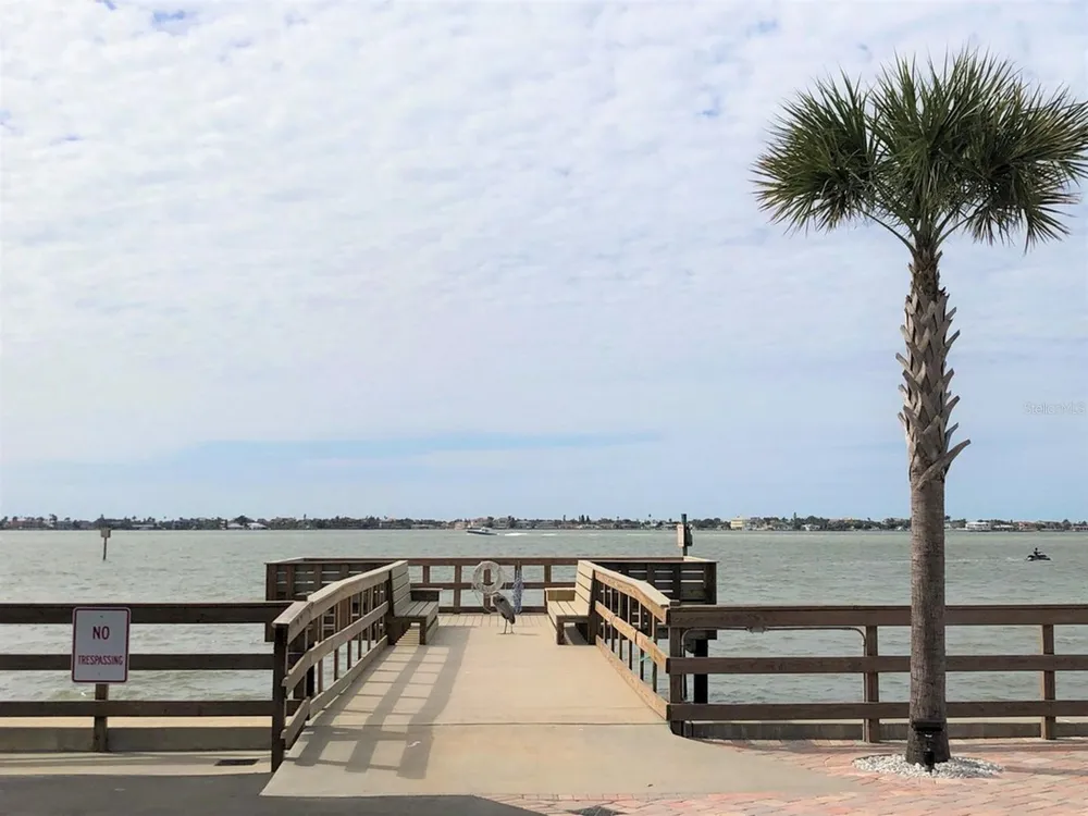 100 BLUFF VIEW DRIVE #317A Belleair Bluffs, FL 33770