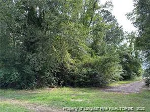 Peach Street Rowland, NC 28383