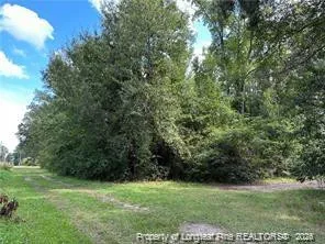 Peach Street Rowland, NC 28383