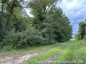 Peach Street Rowland, NC 28383