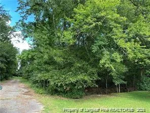 Peach Street Rowland, NC 28383