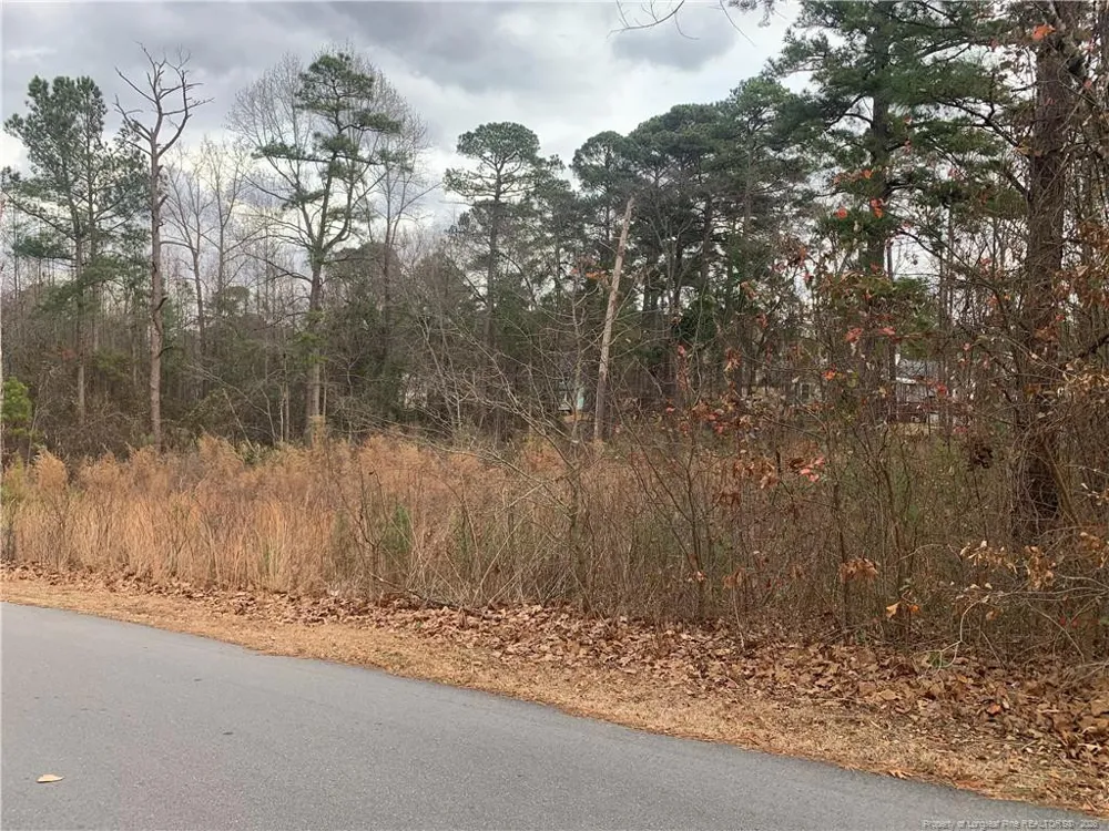 0 brookridge Drive Cameron, NC 28326