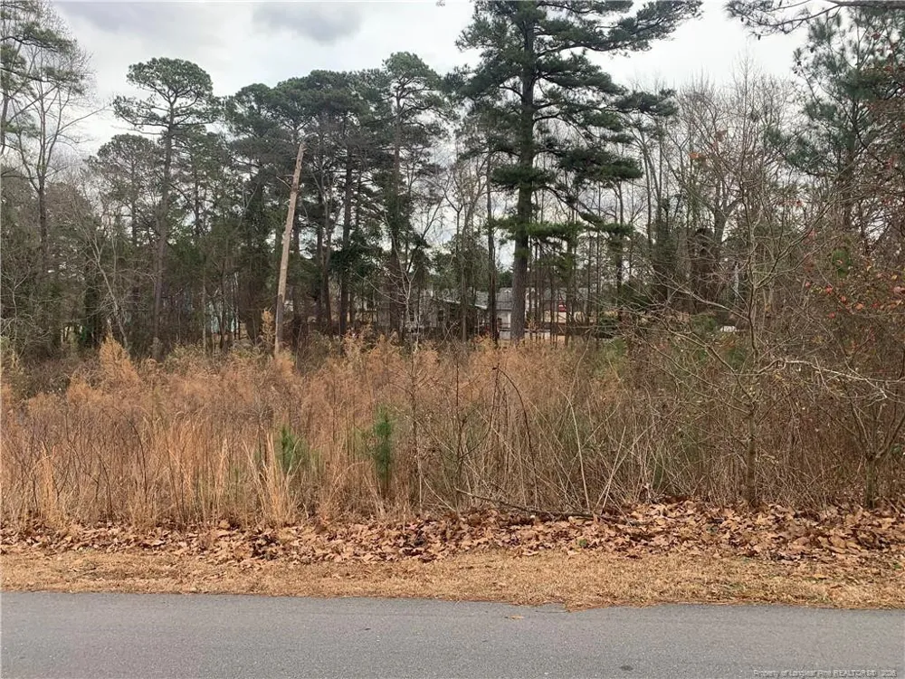 0 brookridge Drive Cameron, NC 28326