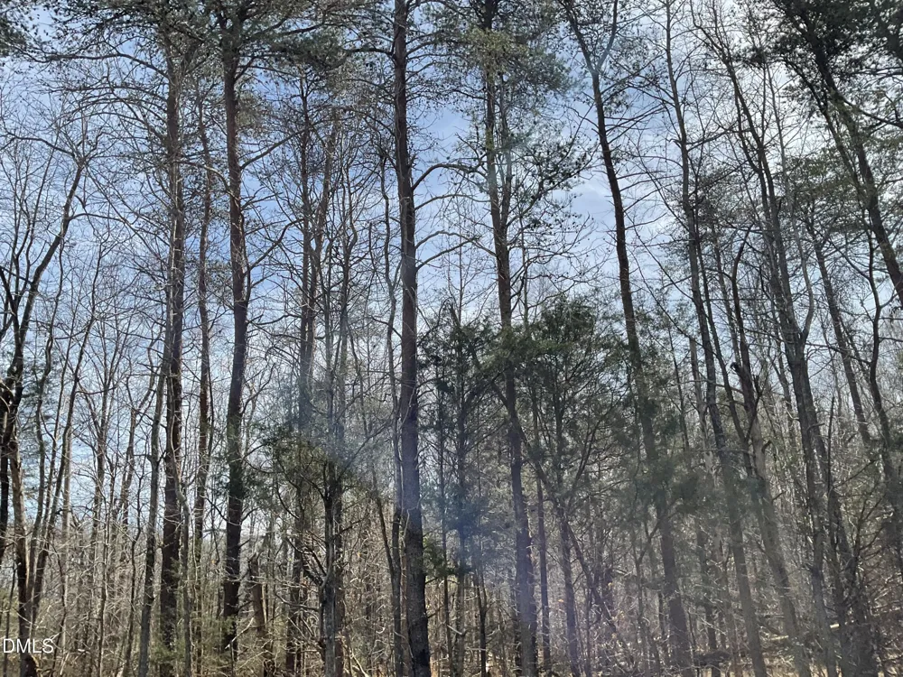 00 Turner  Road Mebane, NC 27302