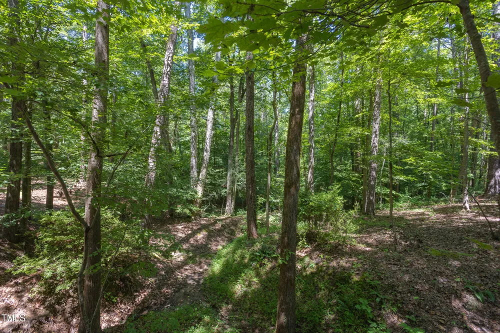 4515 Chicopee Trail Durham, NC 27707