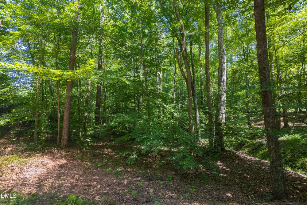4515 Chicopee Trail Durham, NC 27707