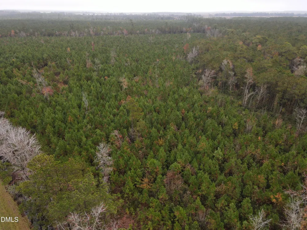 00 Nc 304 Bayboro, NC 28515
