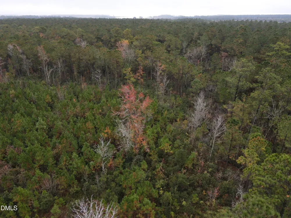 00 Nc 304 Bayboro, NC 28515