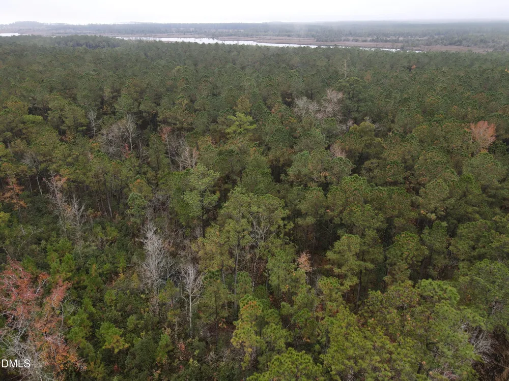 00 Nc 304 Bayboro, NC 28515