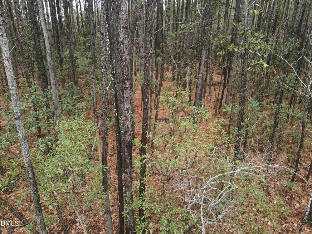 00 Nc 304 Bayboro, NC 28515