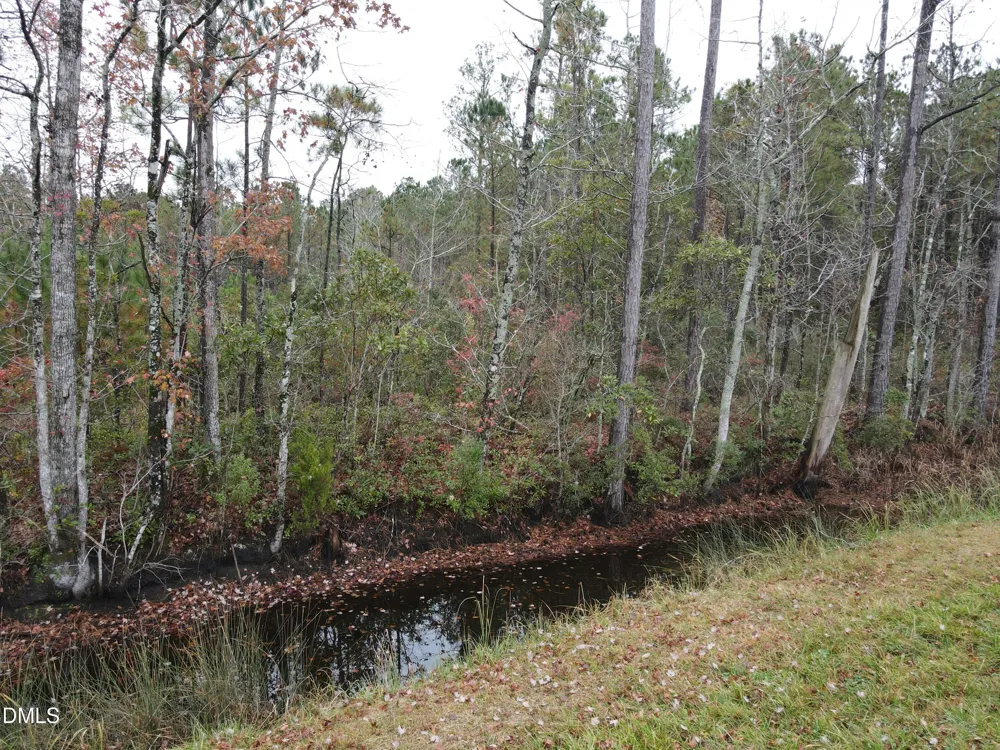 00 Nc 304 Bayboro, NC 28515