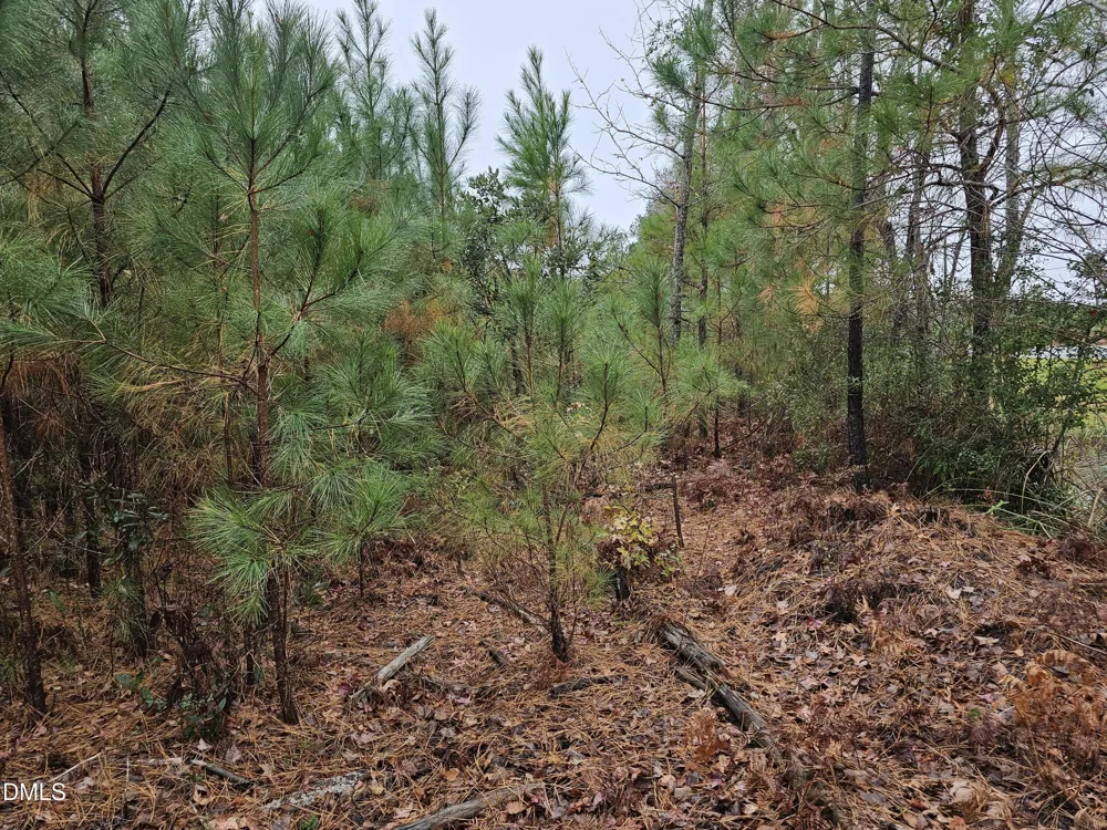 00 Nc 304 Bayboro, NC 28515
