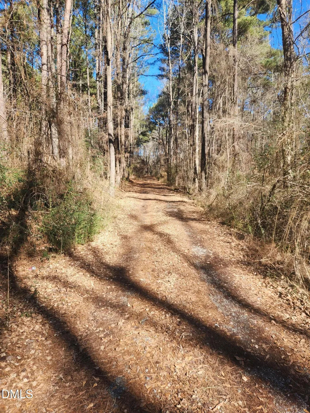 174 Solomon Worley Drive Moncure, NC 27559