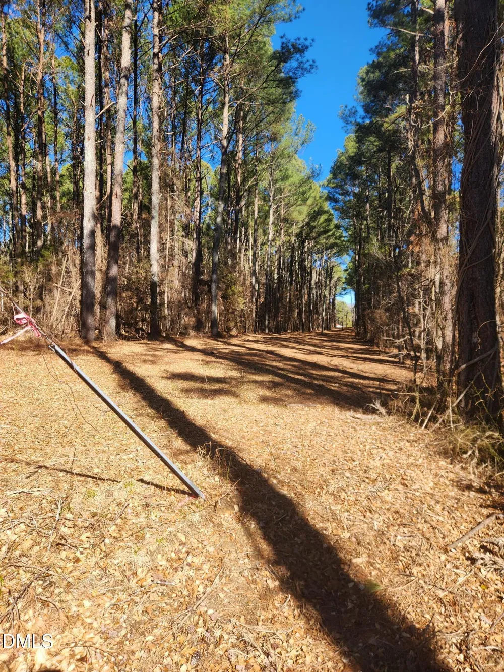 174 Solomon Worley Drive Moncure, NC 27559