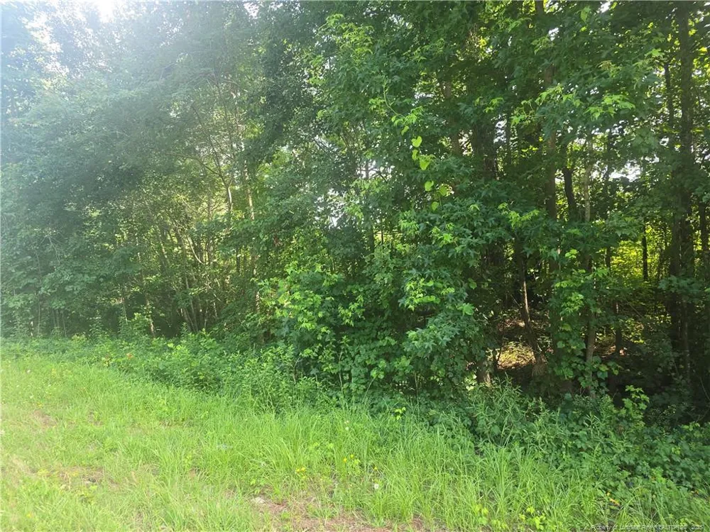 Rockfish Road Raeford, NC 28376