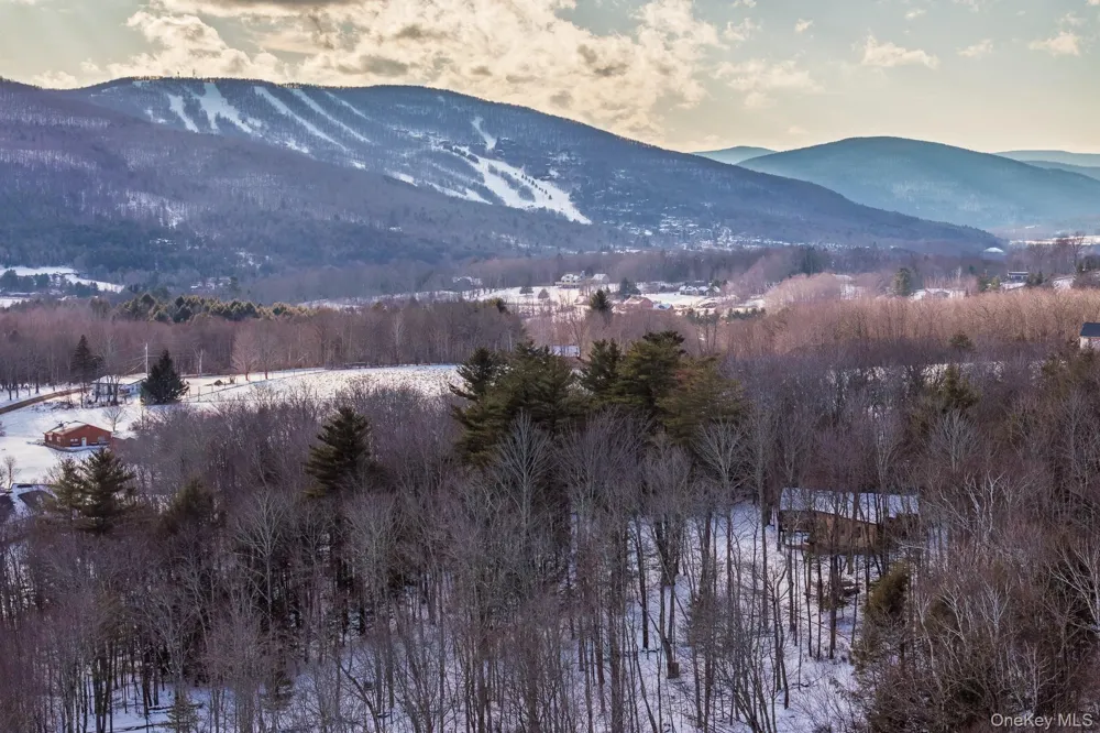 31 Windham Farms Road Windham, NY 12496