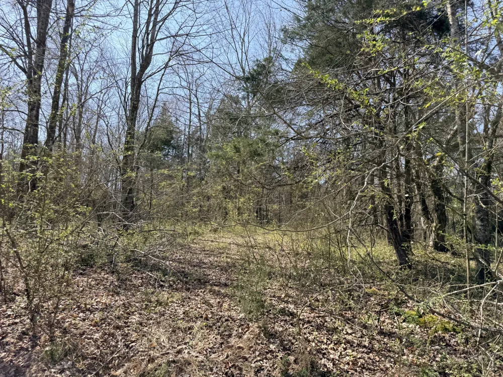 0 Scott Branch Rd Hampshire, TN 38461