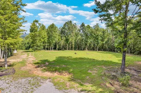 1280 Soak Creek Ln