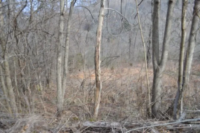 0 Cumberland Valley Dr Gainesboro, TN 38562