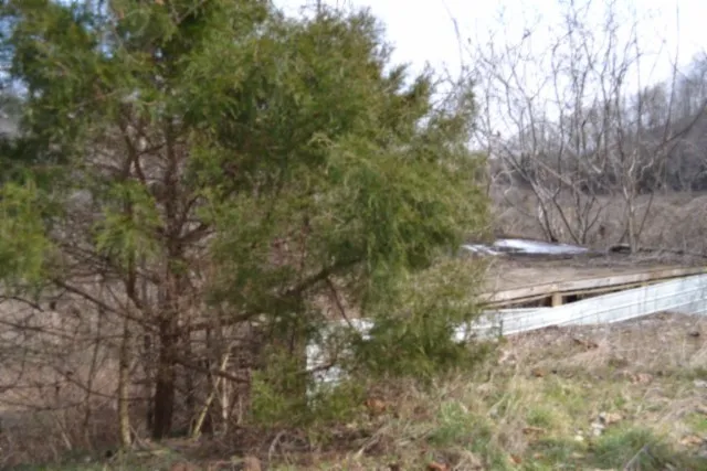 0 Cumberland Valley Dr Gainesboro, TN 38562