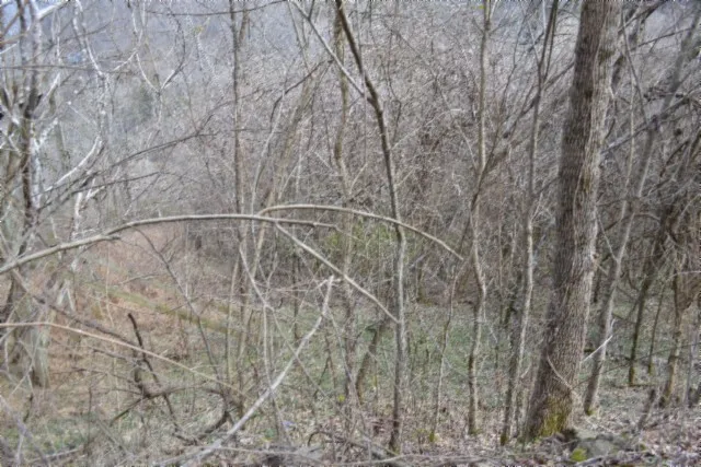 0 Cumberland Valley Dr Gainesboro, TN 38562