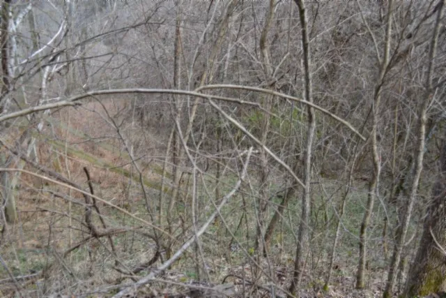 0 Cumberland Valley Dr Gainesboro, TN 38562