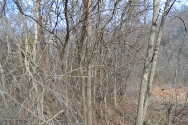 0 Cumberland Valley Dr Gainesboro, TN 38562