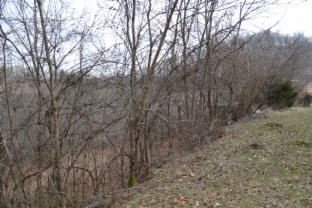 0 Cumberland Valley Dr Gainesboro, TN 38562