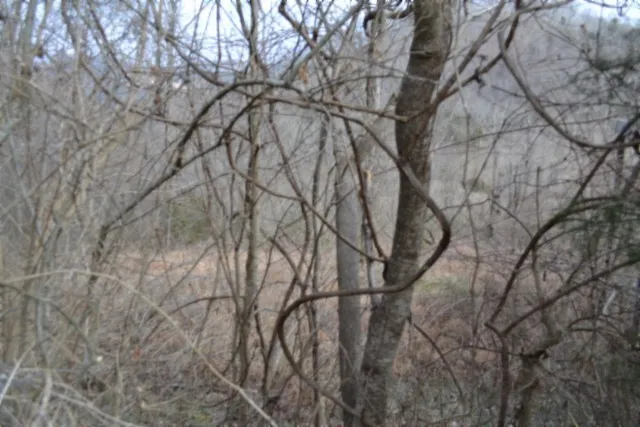 0 Cumberland Valley Dr Gainesboro, TN 38562