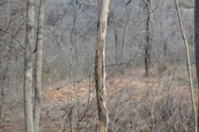 0 Cumberland Valley Dr Gainesboro, TN 38562