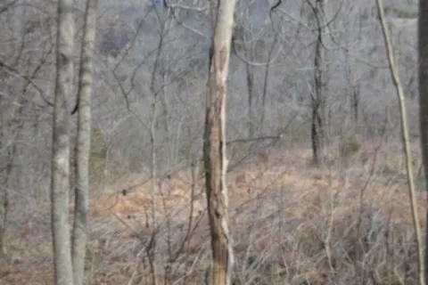 0 Cumberland Valley Dr