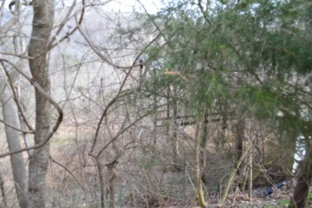 0 Cumberland Valley Dr Gainesboro, TN 38562