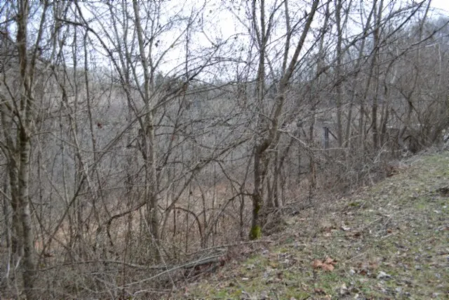 0 Cumberland Valley Dr Gainesboro, TN 38562