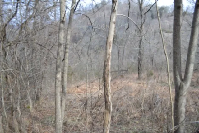 0 Cumberland Valley Dr Gainesboro, TN 38562