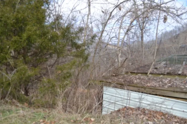 0 Cumberland Valley Dr Gainesboro, TN 38562