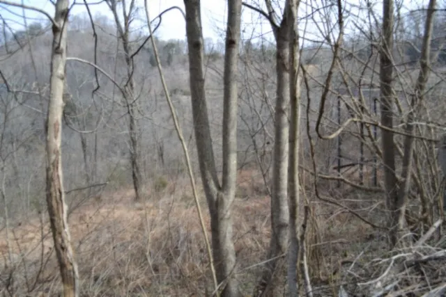 0 Cumberland Valley Dr Gainesboro, TN 38562
