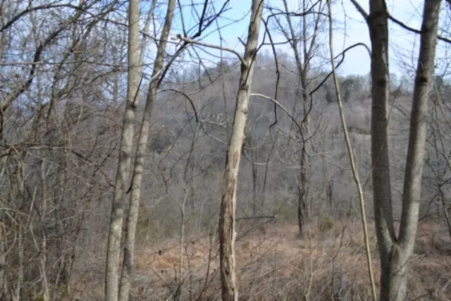 0 Cumberland Valley Dr Gainesboro, TN 38562
