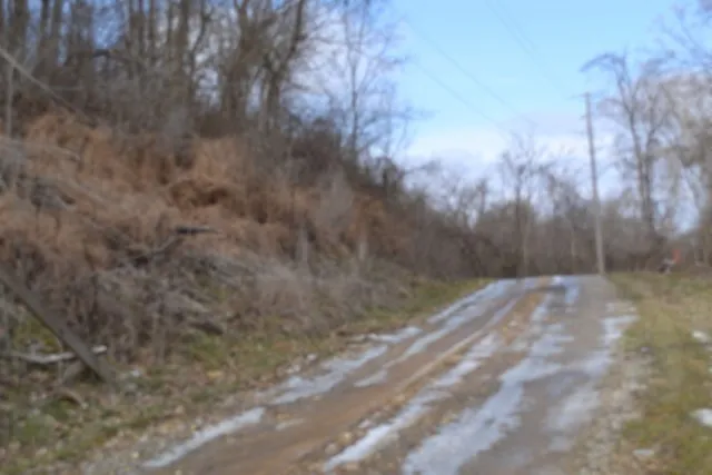 0 Cumberland Valley Dr Gainesboro, TN 38562