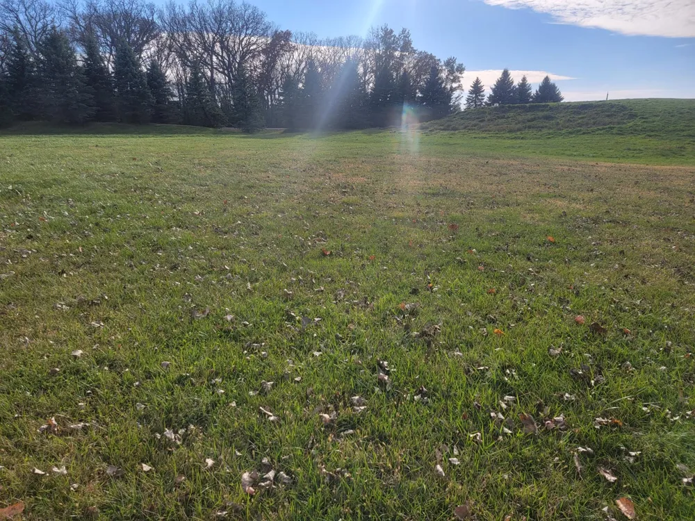 2601 8th Street NE Waseca, MN 56093