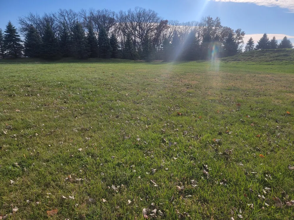 2601 8th Street NE Waseca, MN 56093