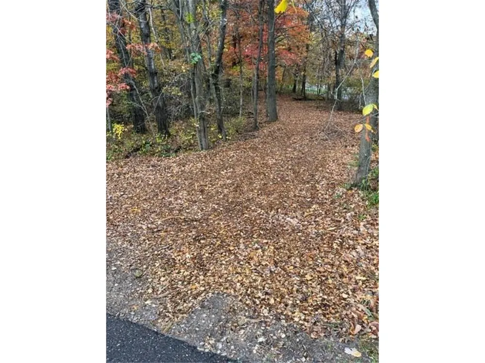 Lot 3 Tiger Street NW Zimmerman, MN 55398