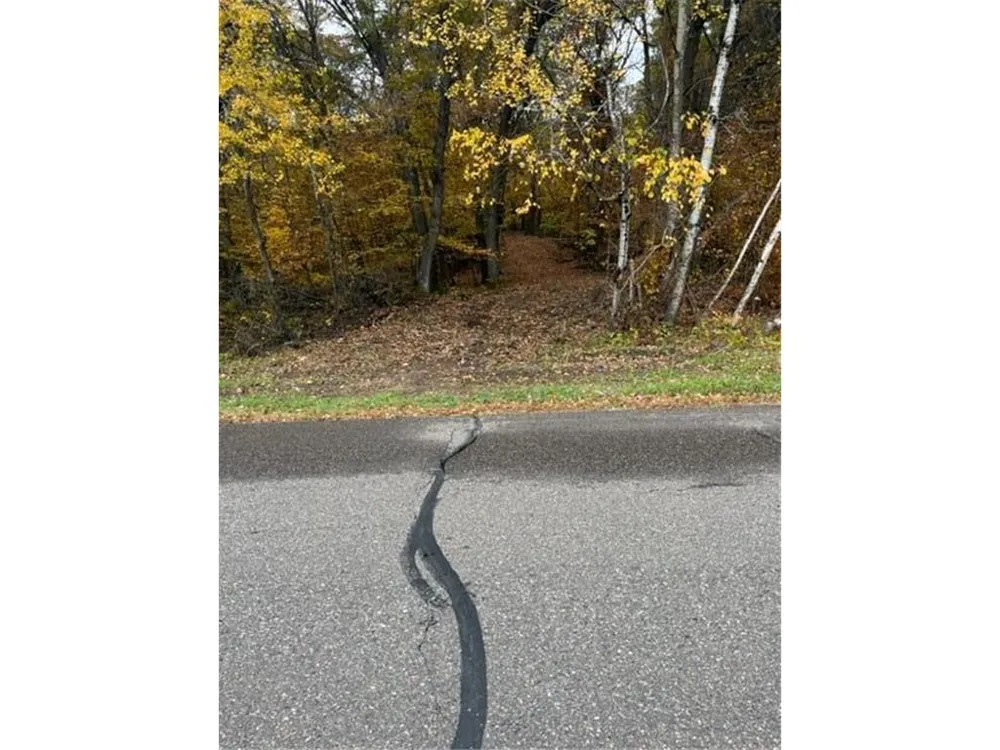 Lot 3 Tiger Street NW Zimmerman, MN 55398