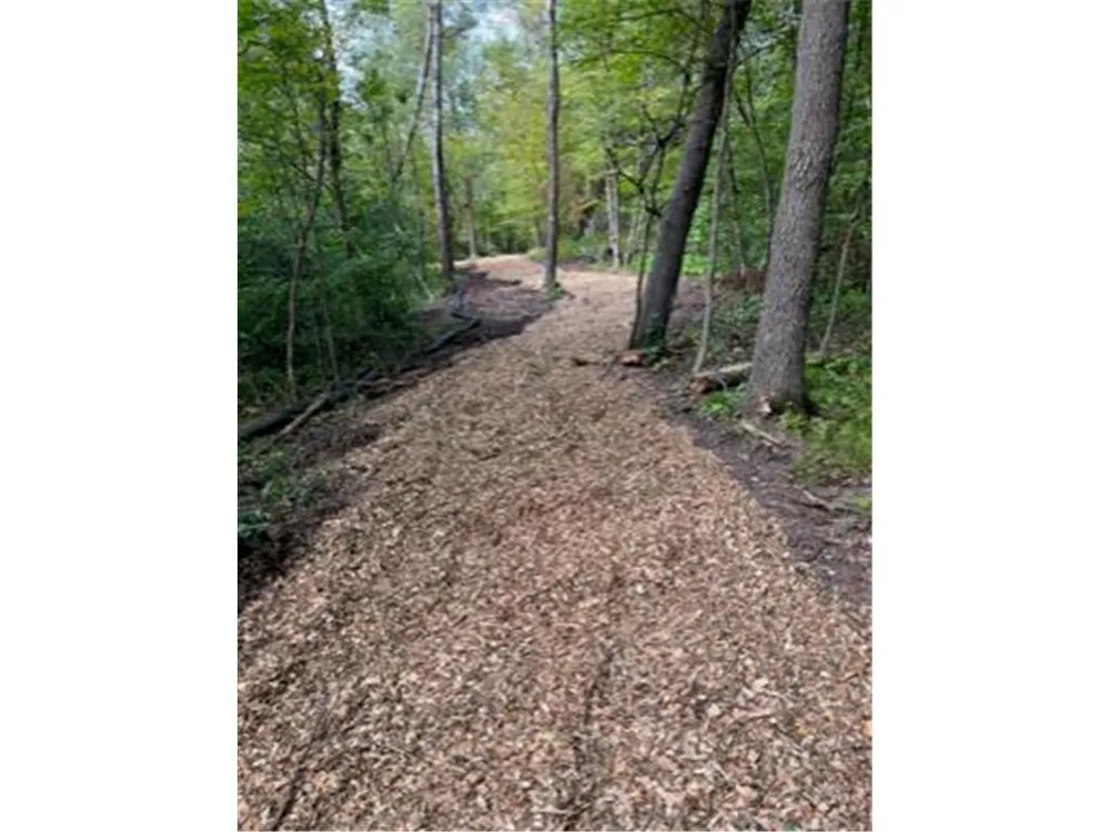 Lot 3 Tiger Street NW Zimmerman, MN 55398