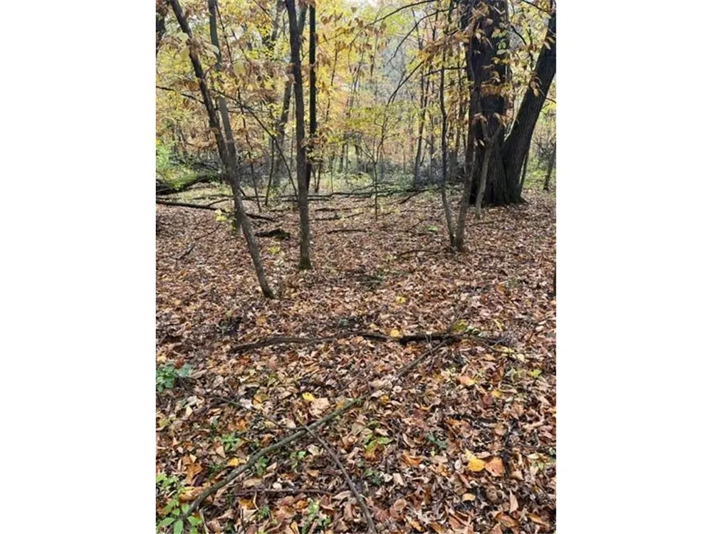 Lot 3 Tiger Street NW Zimmerman, MN 55398