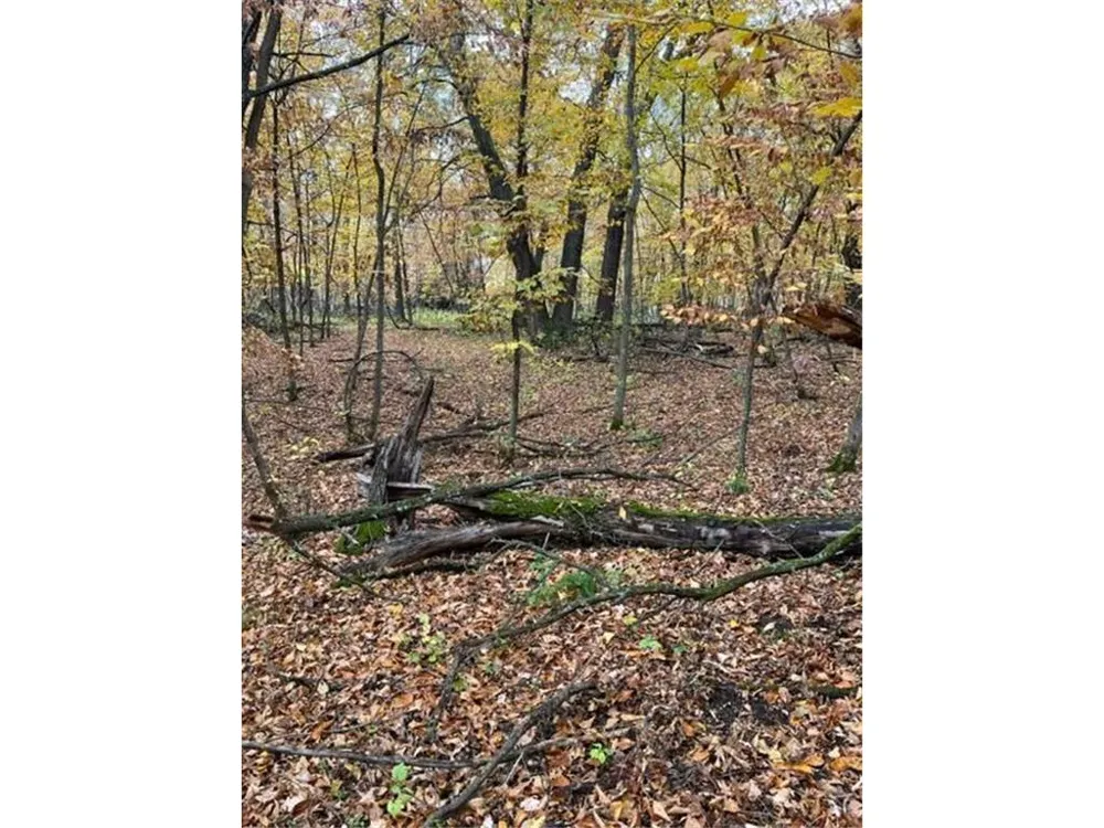 Lot 3 Tiger Street NW Zimmerman, MN 55398