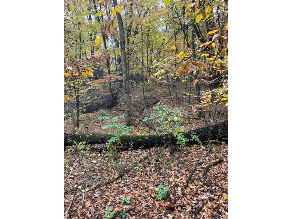 Lot 3 Tiger Street NW Zimmerman, MN 55398