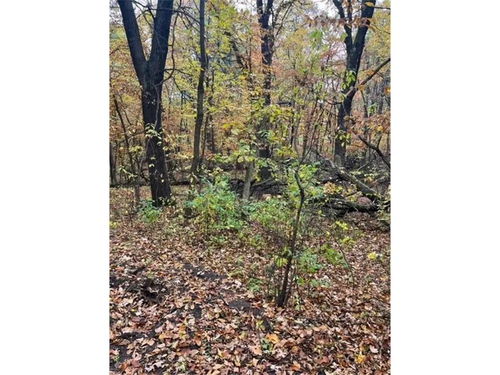 Lot 3 Tiger Street NW Zimmerman, MN 55398
